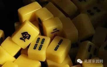 麻将配料爆料视频大全教程,视频大全教程深度解析  第1张