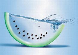 免费吃瓜创意广告词大全,畅享夏日狂欢盛宴！  第2张