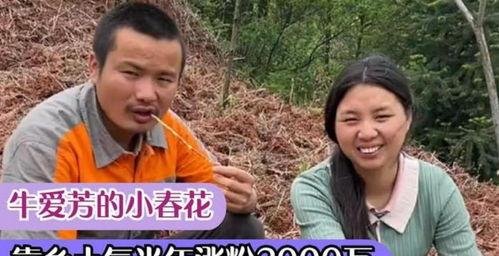 爆料小春花的视频,一场网络爆料的视觉盛宴  第1张